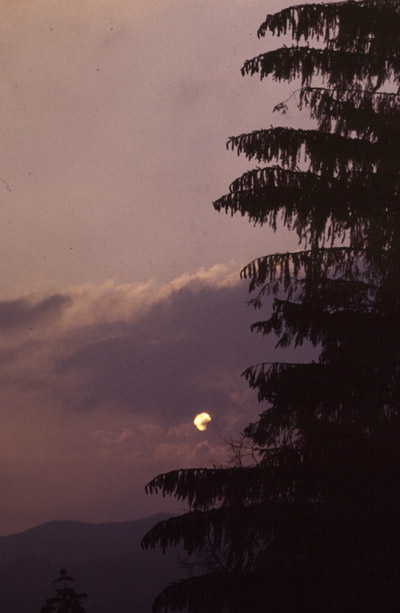 11sola85.jpg